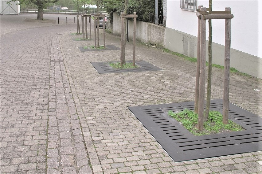 Ochrana kořenových systémů a využití dešťové vody pro závlahu